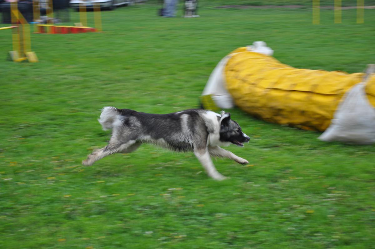 DSC_0771