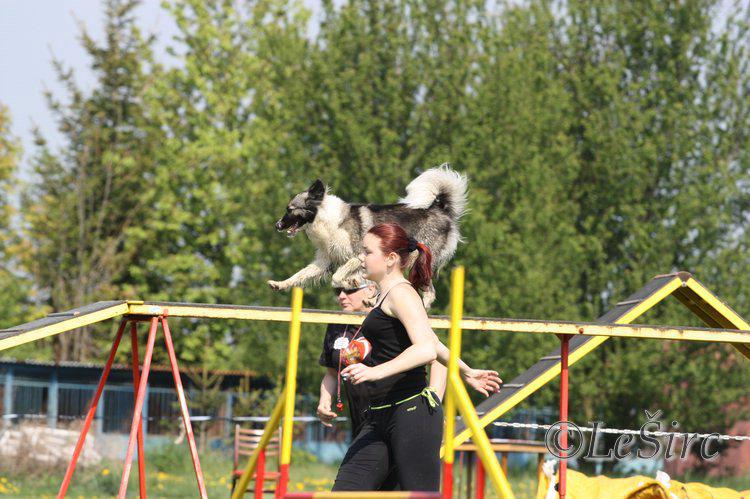 Prostejov_11_033_